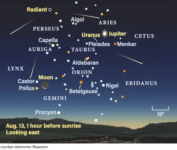 Perseid Meteor Shower