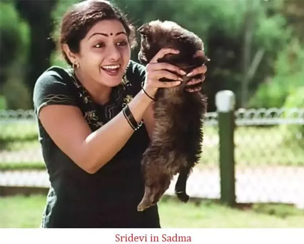 Remembering Sridevi: A Whimsical Journey of India's Iconic Actress 2 Sridevi