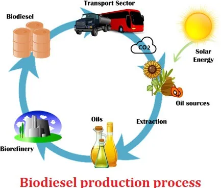 Embracing Cleaner Energy World Biofuel Day Embracing Cleaner Energy World Biofuel Day