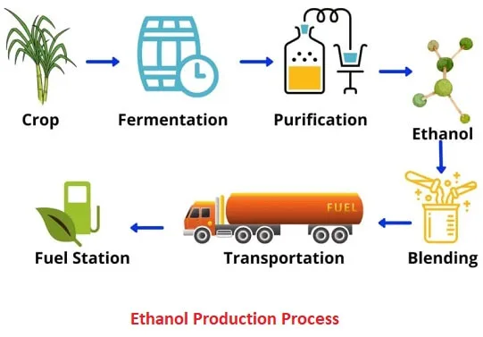 Embracing Cleaner Energy: World Biofuel Day 4 ethanol