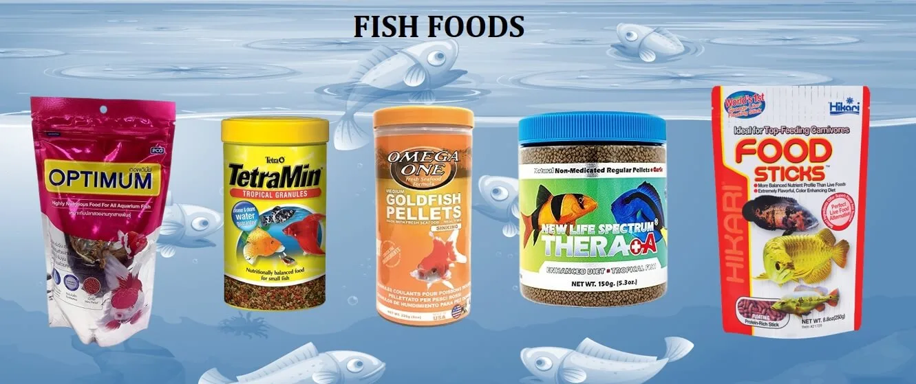 Feeding Your Aquatic Pets with Quality Fish Food 4 FISH FOODS