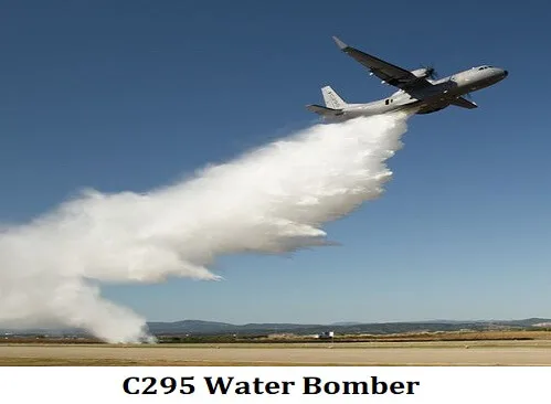 C295