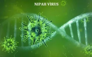 Nipah Virus