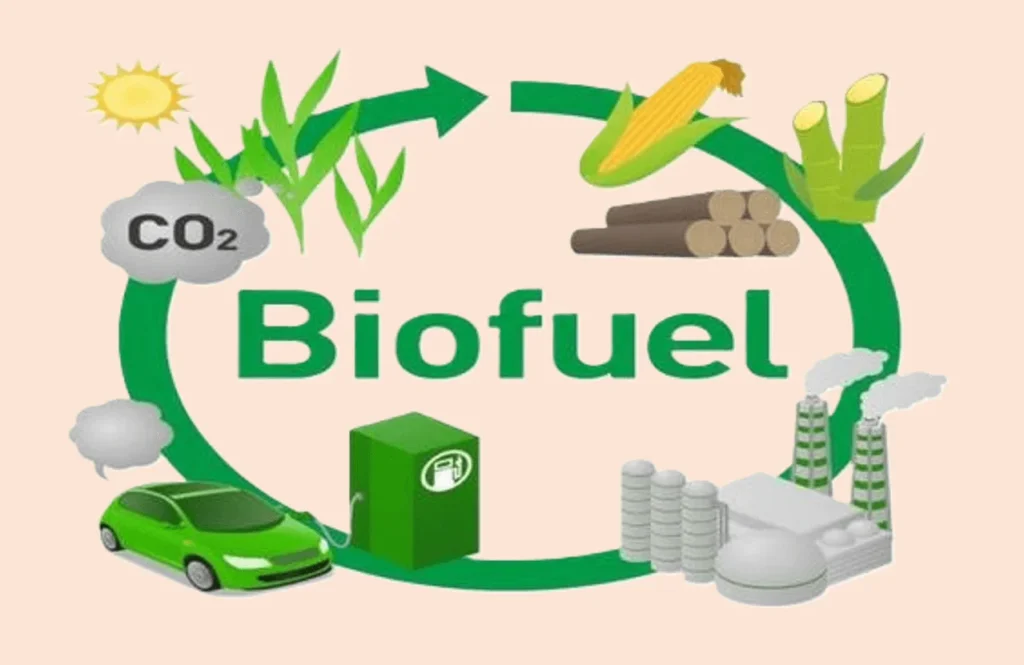 Embracing Cleaner Energy: World Biofuel Day 44 Biofuel