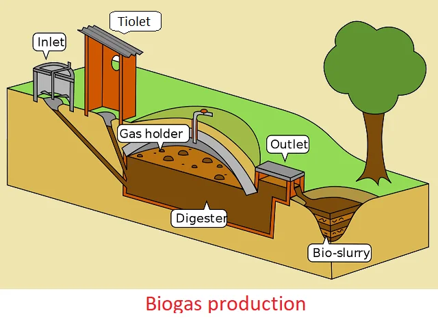 Embracing Cleaner Energy: World Biofuel Day 5 biogas