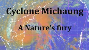 Cyclone Michaung