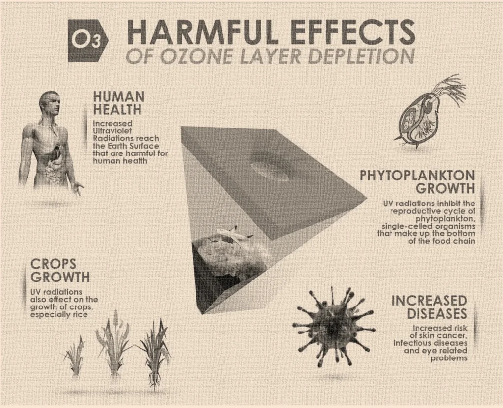 Ozone Day: Celebrating Earth's Protective Shield 3 Effects of Ozone Depletion