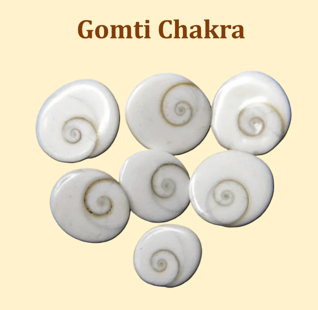 Dhanteras: Celebrating Prosperity and Festivity in India 4 Gomti Chakra