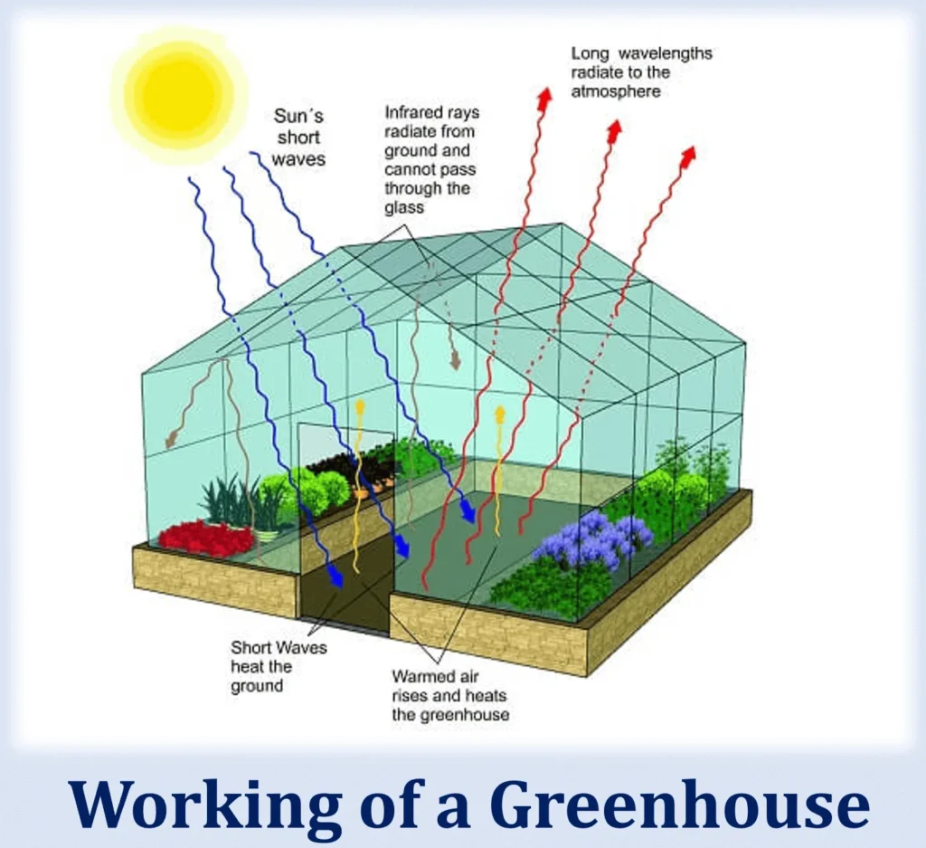 Greenhouse Gases: Catalysts of Climate Change 2 Greenhouse