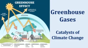 Environment 35 Greenhouse Gases