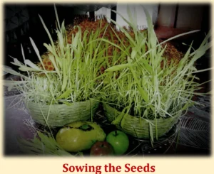 Harela Sowing of Seeds