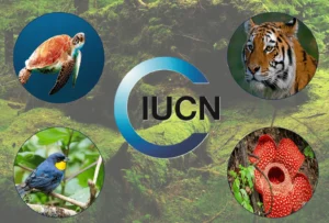 Environment 29 IUCN