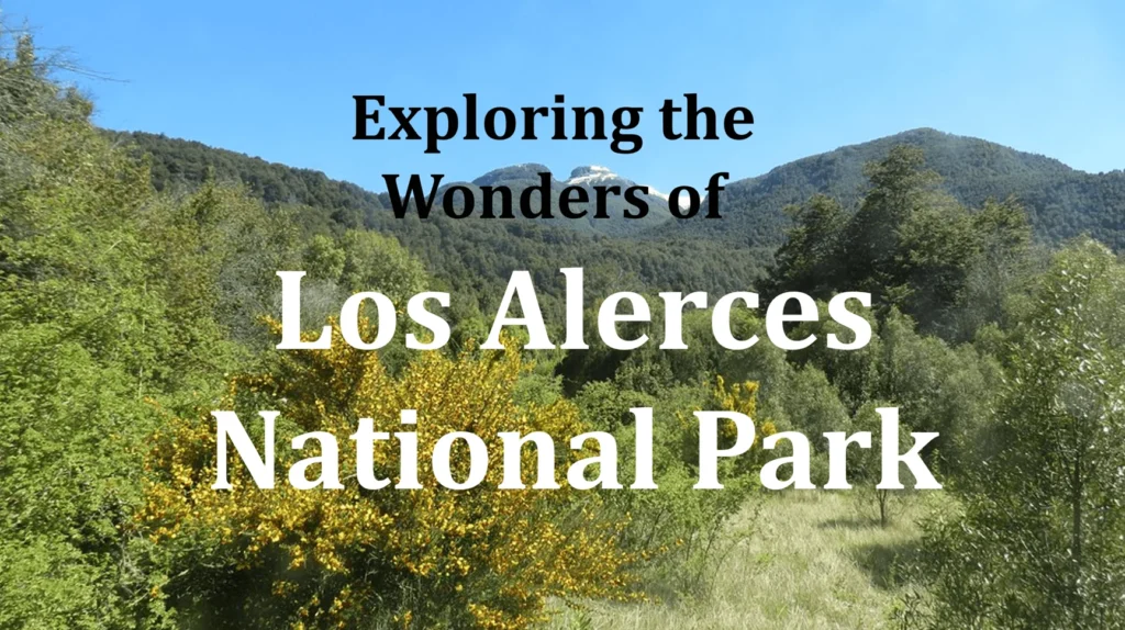 Los Alerces National Park