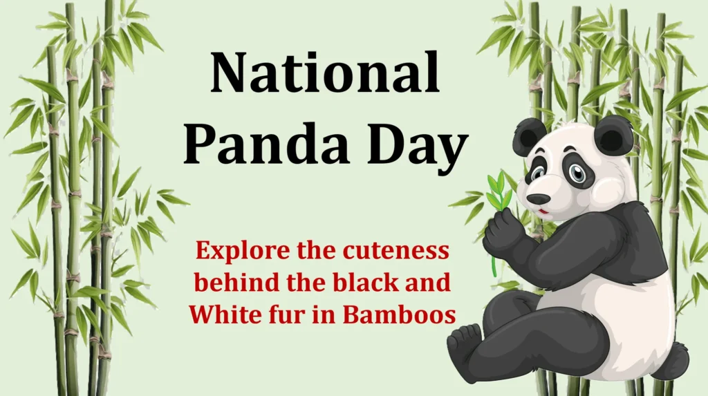 National Panda Day