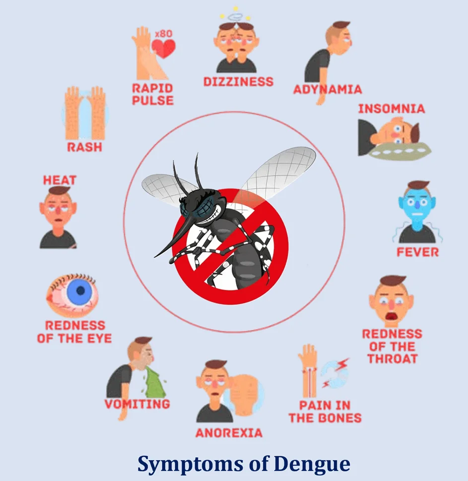 Dengue: Unmasking the Silent Assassin of Tropical Paradises 3 Symptoms of Dengue