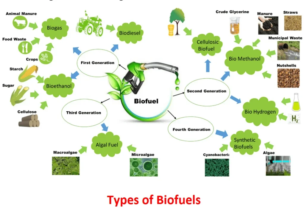 Embracing Cleaner Energy: World Biofuel Day 2 types of biofuels