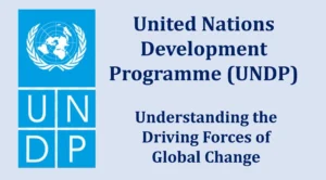 International 33 UNDP