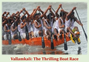 Onam 2023: Welcome the Spirit of Kerala's Enchanting Festival 4 Vallamkali