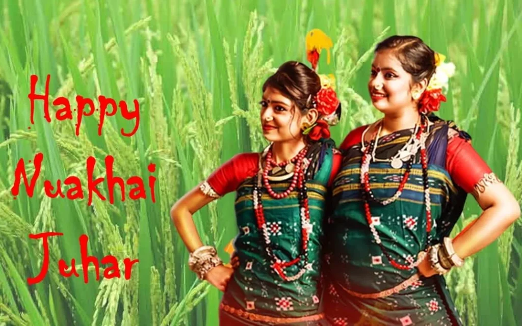 Nuakhai Juhar A Harvest Festival Of Unity And Tradition Nuakhai Juhar A Harvest Festival Of Unity And Tradition