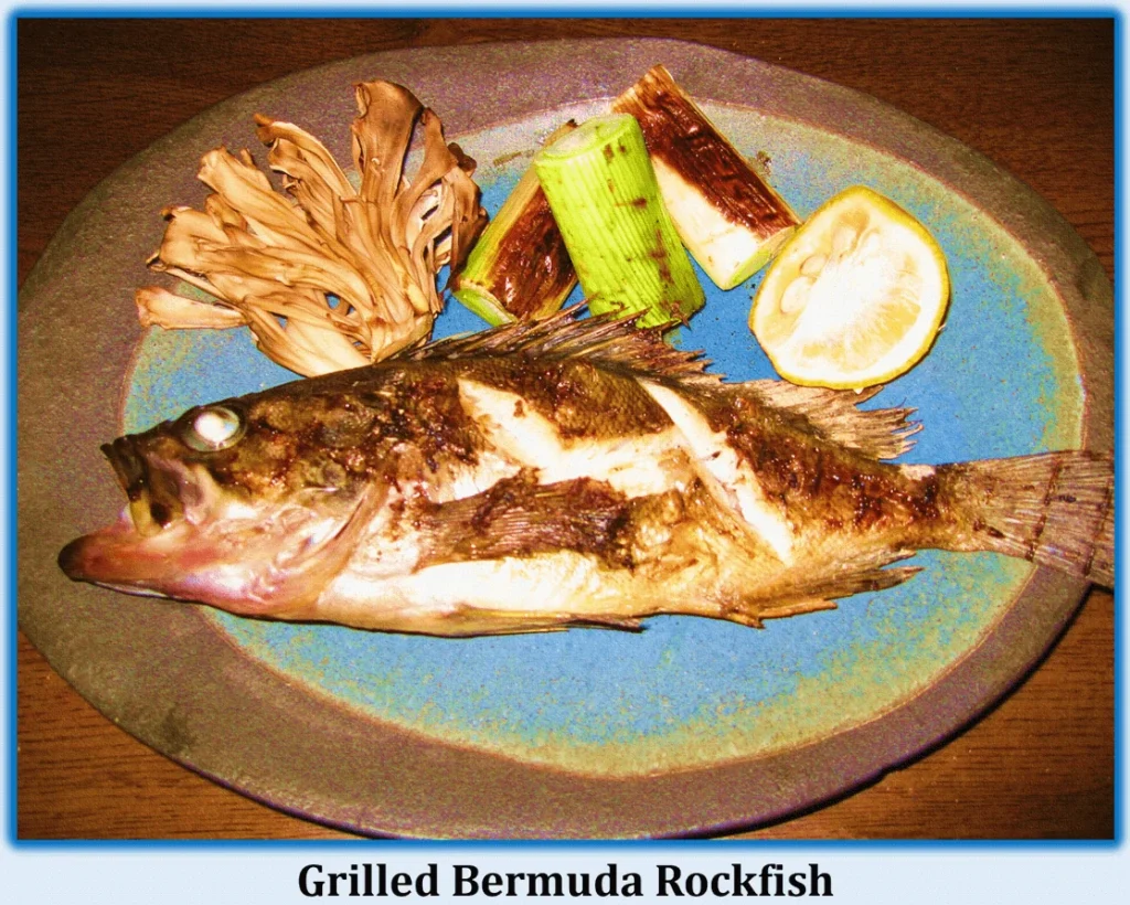 Bermuda: Exploring the Island Jewel of the Atlantic with Pink Sand Beaches 10 Grilled Bermuda Rockfish