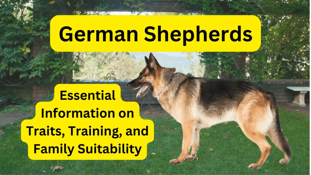 German Shepherds