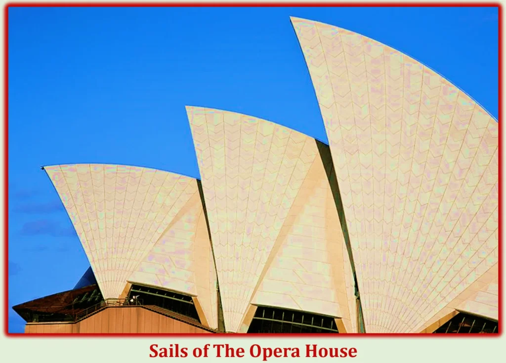 Sydney Opera House: A Complete Guide to Its History, Architecture, and Cultural Impact 3 Sails of The Opera House
