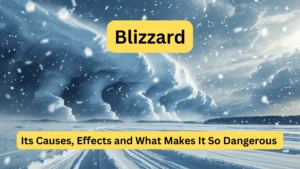 Blizzard