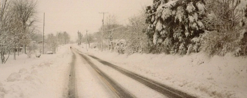 The 1993 Storm of the Century