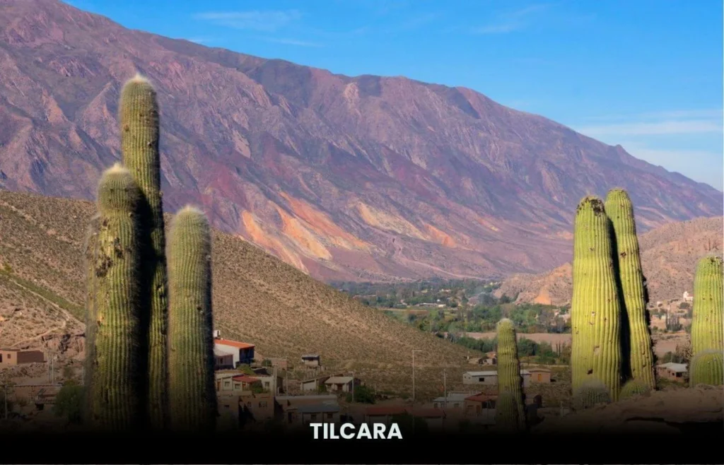 Quebrada de Humahuaca — Argentina’s Timeless Andean Valley 8 Tilcara